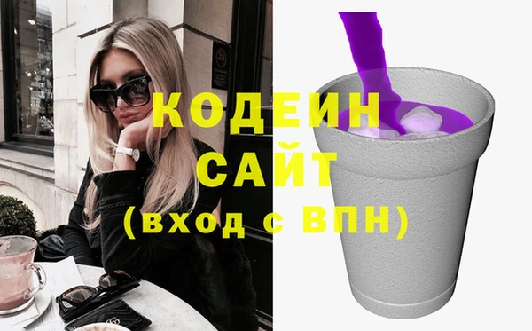 гидра Няндома