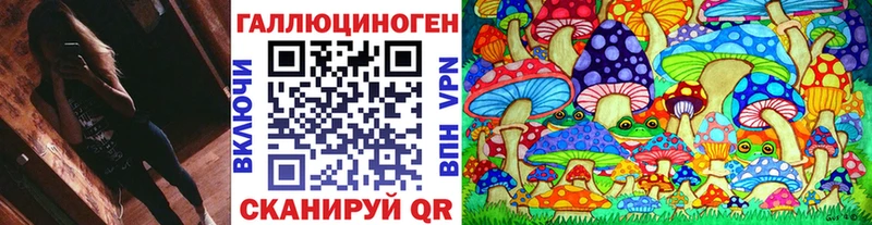 купить наркоту  Кирс  Псилоцибиновые грибы Cubensis 